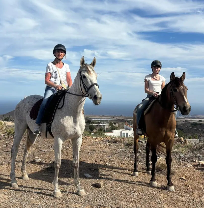 2 Hour Horse Adventure